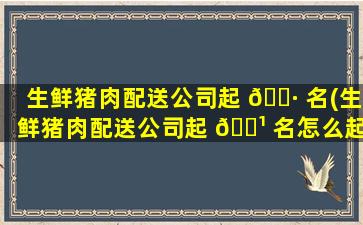 生鲜猪肉配送公司起 🌷 名(生鲜猪肉配送公司起 🌹 名怎么起)
